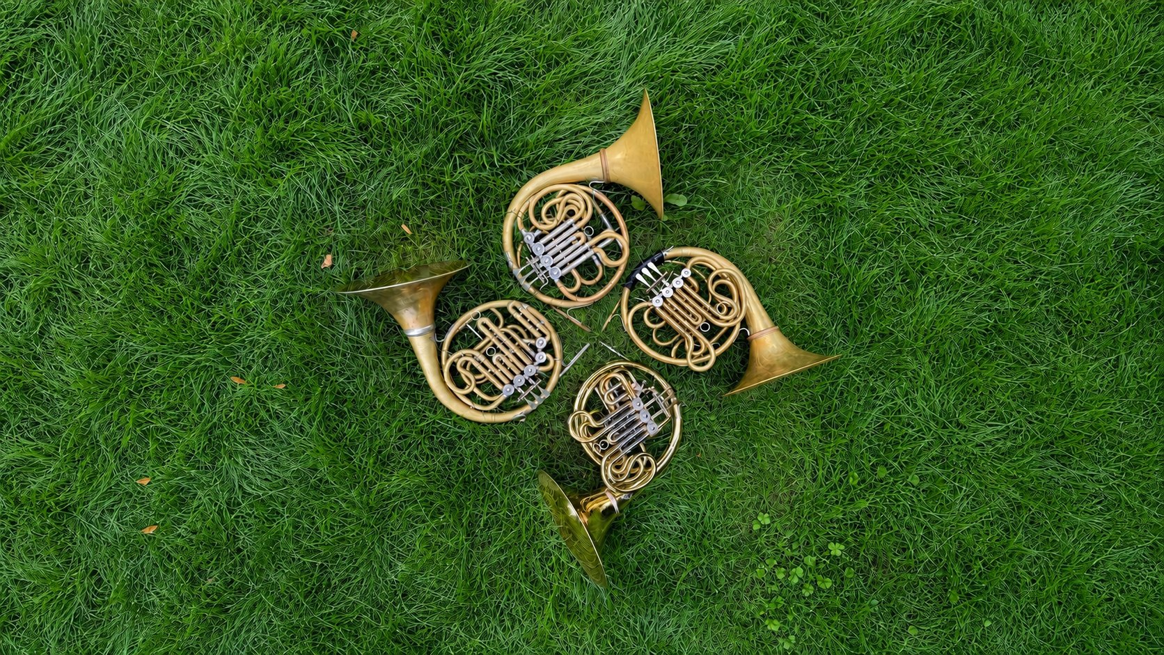 Four French horns arranged in a circle on green grass