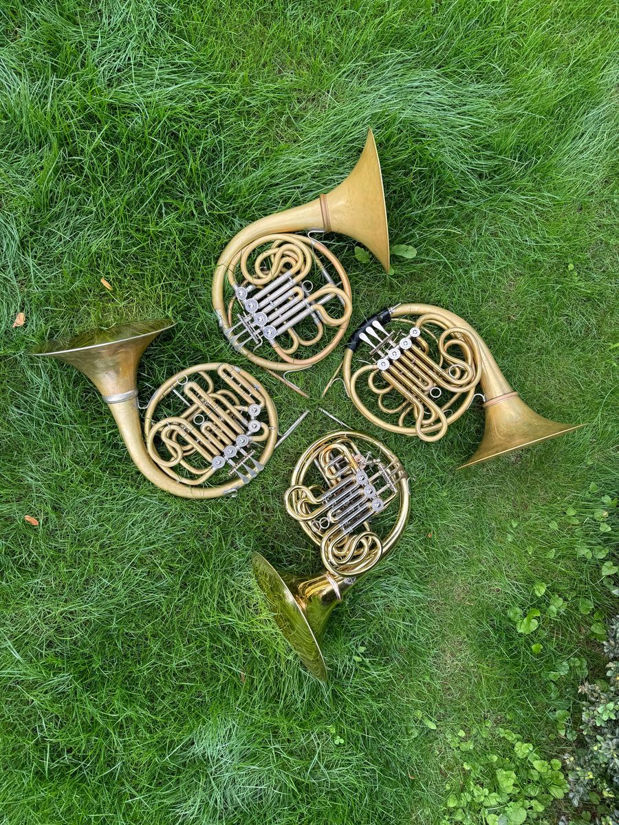 Four French horns arranged on green grass